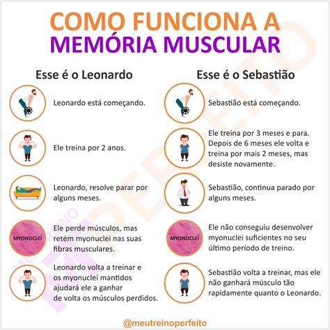 memoria muscular